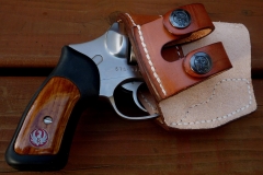 Ruger SP-101